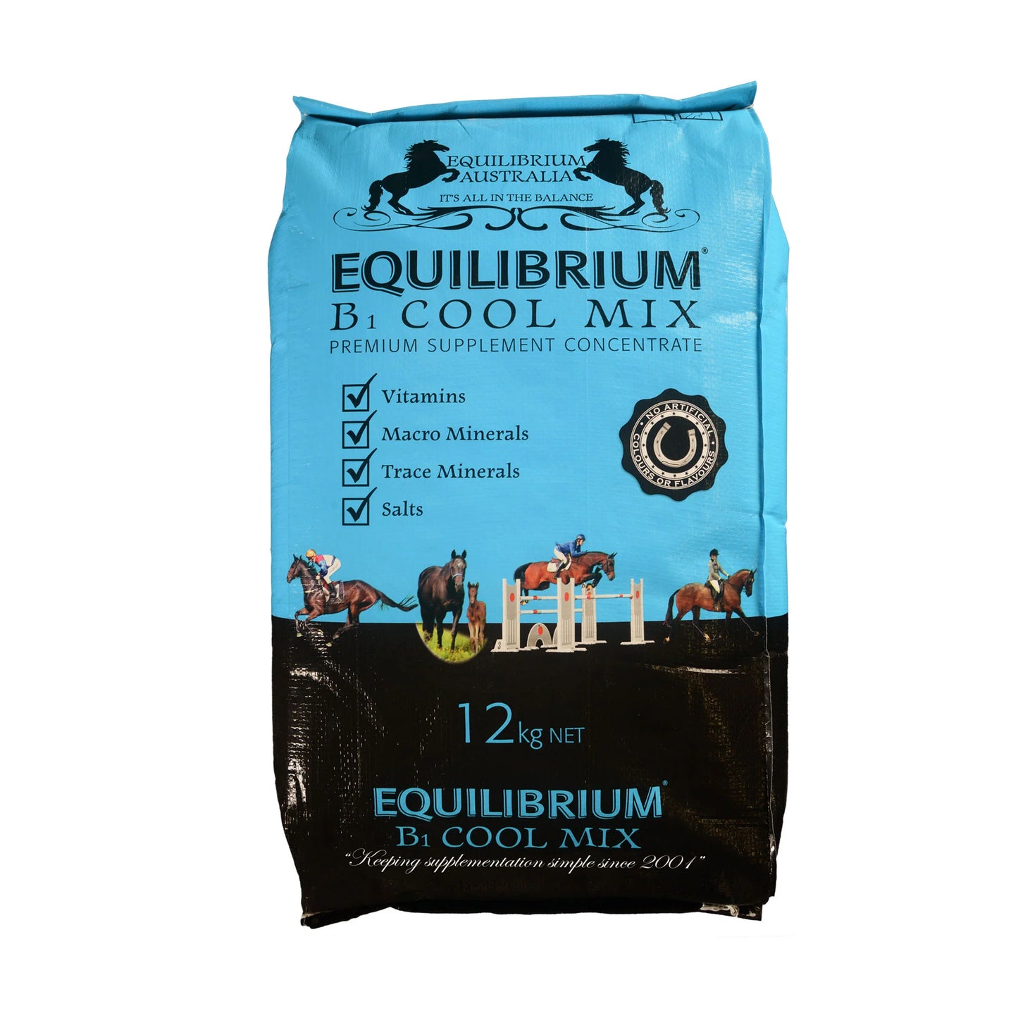 Stance Equilibrium B1 Cool Mix