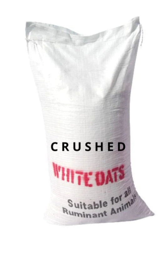 Crushed Oats white - Red Barn Supply Company 