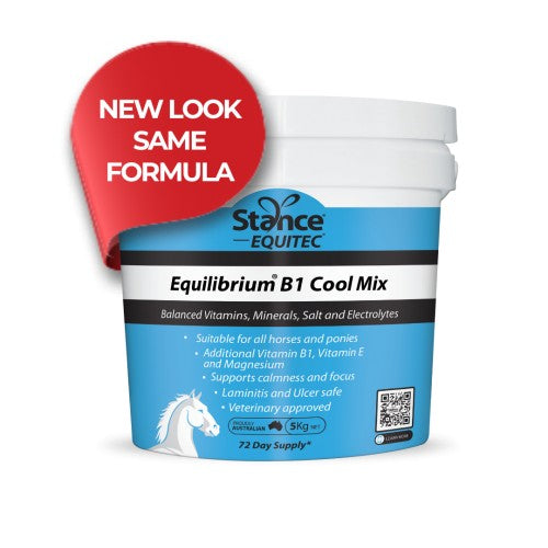 Stance Equilibrium B1 Cool Mix
