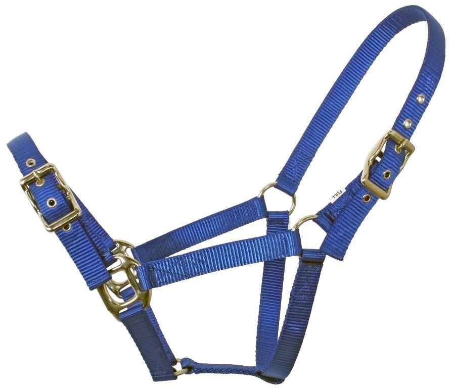 Flair Heavy Duty Nylon Web Halter - Red Barn Supply Company