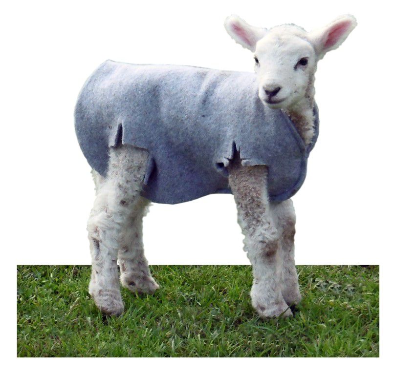 Lamb Coats - Red Barn Supply Company
