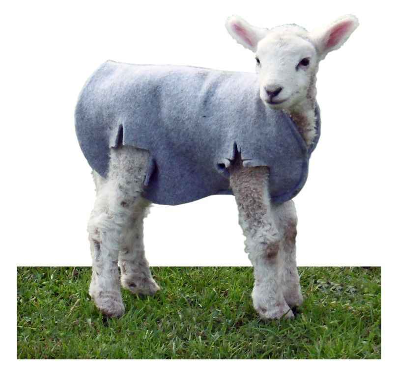 Cosy Coat Lamb Covers - Red Barn Supply Company
