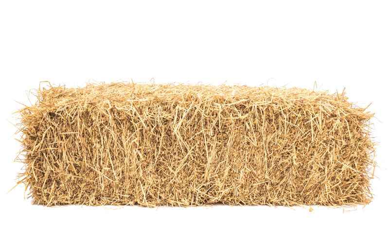 Oroua Downs Meadow Hay - Premium Quality Hay Bale for Your Livestock - Red Barn Supply Company