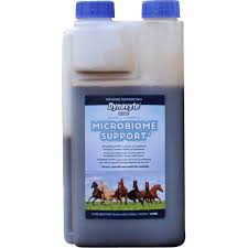 Dynavyte Microbiome Support - Red Barn Supply Company