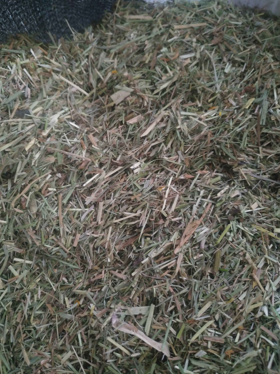 Oroua Downs TEFF Chaff - Red Barn Supply Company