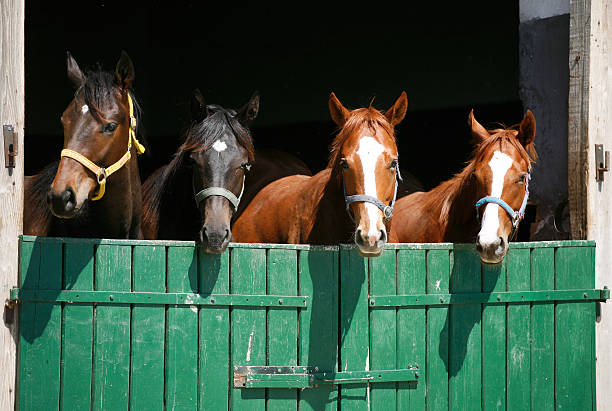 Stable Products