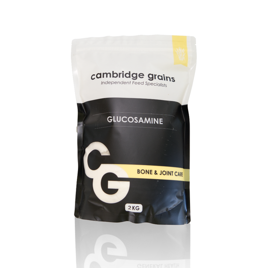 Cambridge Grains Glucosamine-1kg