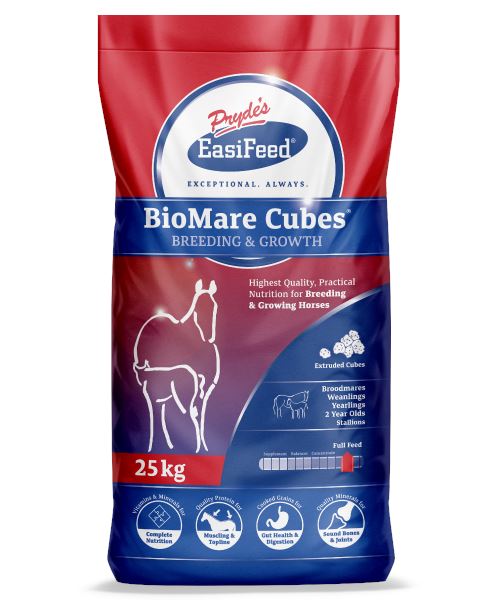 Pryde's EasiFeed® BioMare Cubes - Red Barn Supply Company 