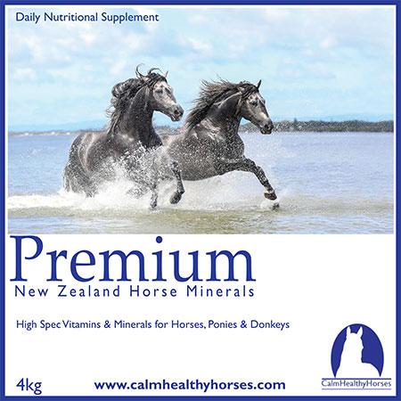 Premium NZ Horse Minerals - Red Barn Supply Company 
